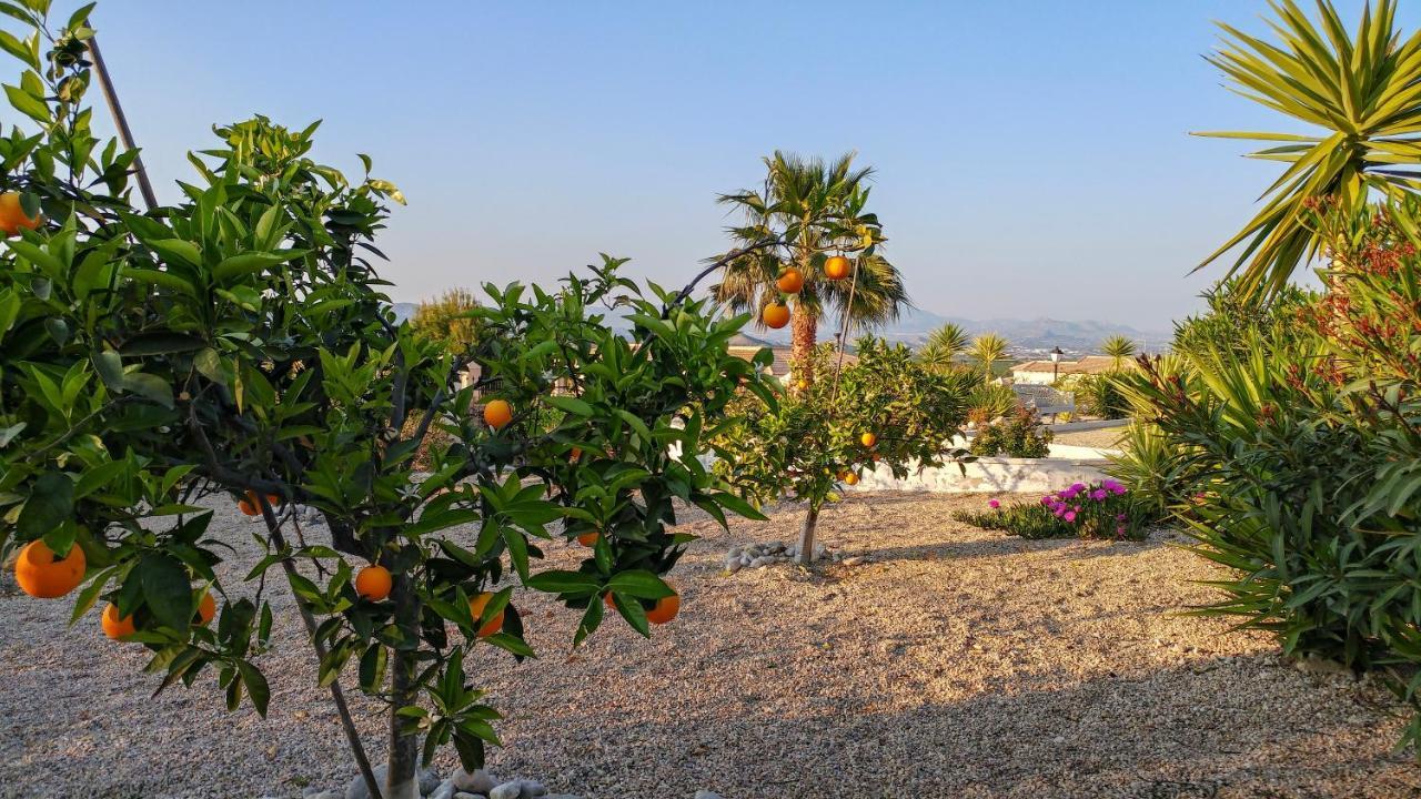 Villa Campos del Río 외부 사진